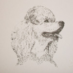Notecard Set #2 - $10.00 Poodle Note Card 2