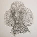 Notecard Set #2 - $10.00 Poodle Note Card 3
