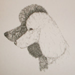 Notecard Set #2 - $10.00 Poodle Note Card 4